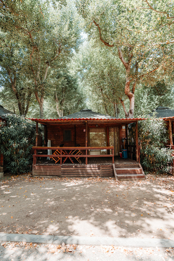 Forest Hut (premium) - SOLD OUT
