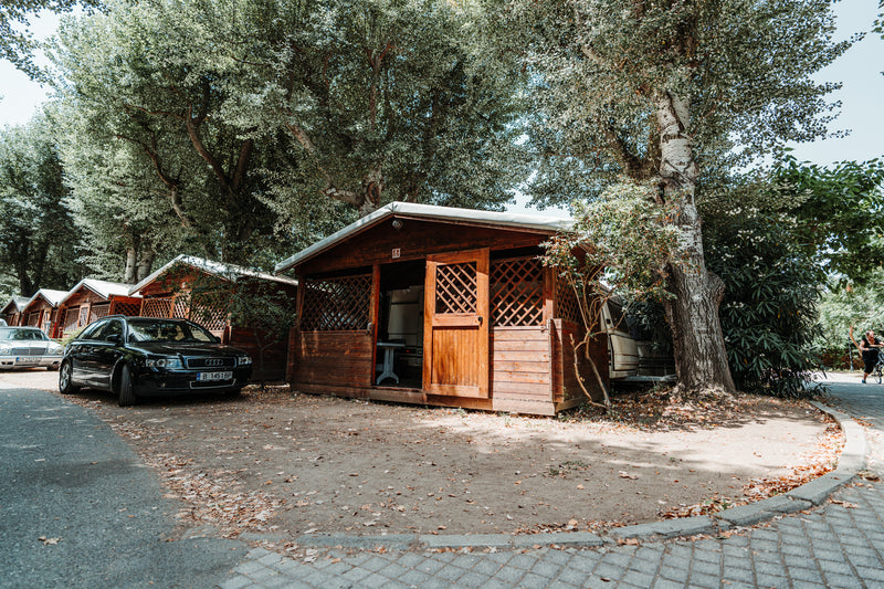 Omana Camp: Forest Caravan