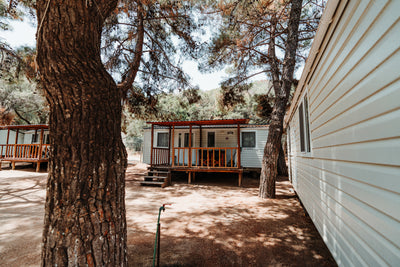 Omana Camp: Forest Bungalow 2 Bedrooms (premium)