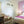 Irenes House (One Bedroom)